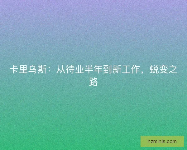 卡里乌斯：从待业半年到新工作，蜕变之路