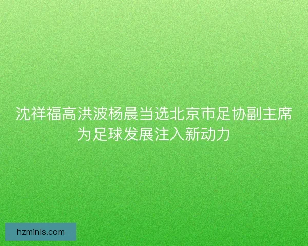 沈祥福高洪波杨晨当选北京市足协副主席为足球发展注入新动力